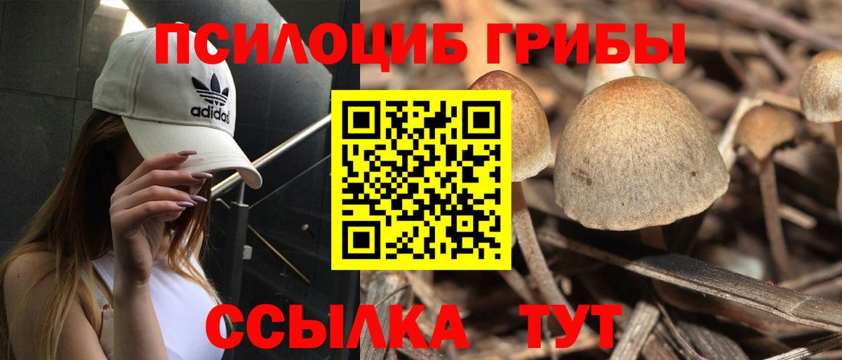 Псилоцибиновые грибы Magic Shrooms Орёл