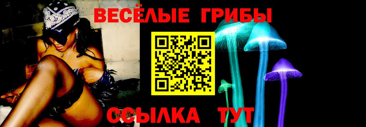 Псилоцибиновые грибы GOLDEN TEACHER  Псилоцибиновые грибы ЛСД  Вход с VPN  Орёл 